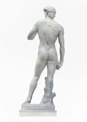 David - 8