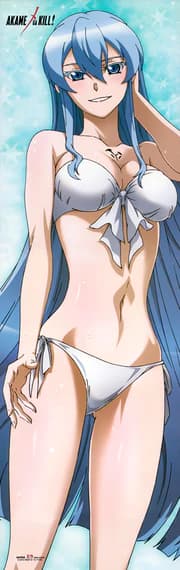 Esdeath - Bikini - Akame ga Kill - Dakimakura (1)