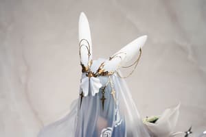 New Jersey - Snow Bride Love - Apex Innovation (21)