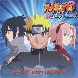 Naruto Broschurkalender 2024 (1)