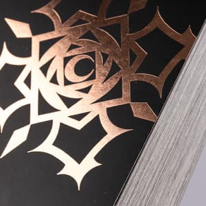 Vampire Knight Pearls - Carlsen - Band 02 - 5