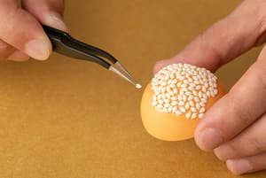 Sesame Ball - 1/1 Model Kit - Syuto Seiko (5)