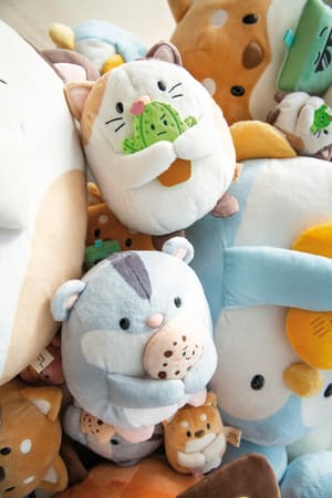Katze Angy - mymochi - Plüsch (mit Kaktus) (16cm)  (1)