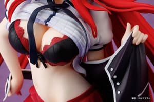 Rias Gremory - Yuuwaku Version - 7