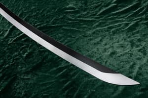 One Piece Proplica: Roronoa Zoro Three Sword Style Set (1:1 Scale, Bandai Spirits) - 1