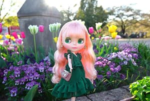 Blythe Urban Fairy Ellie(re-order) - 5