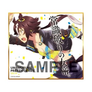 Zufällige Auswahl -Uma Musume Pretty Derby  - Mini-Shikishi - Produce 216 - 7