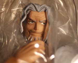 P.O.P. NEO-DX Silvers Rayleigh - 6