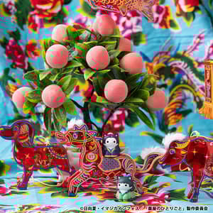 Cats in the Palace - Die Tagebücher der Apothekerin Mega Cat Project - Megahouse (8 Figuren) - 12