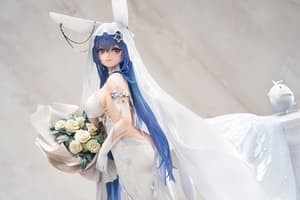 New Jersey - Snow Bride Love - Apex Innovation (19)