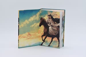Thousand Autumns Band 3 Hardcover - 11