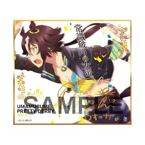 Zufällige Auswahl -Uma Musume Pretty Derby  - Mini-Shikishi - Produce 216 - 12