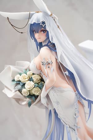 New Jersey - Snow Bride Love - Apex Innovation (18)