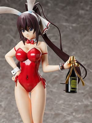 Houki Shinonono- 1/4 B-Style Bunny - Bare Leg - FREEing - 6
