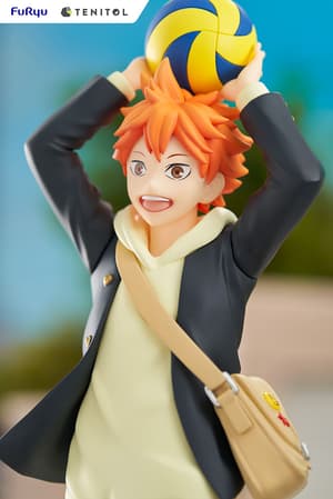 Hinata Shoyo - Tenitol - Furyu - 8