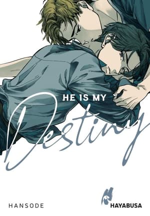 He is my Destiny - Carlsen - Einzelband - 4