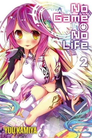 EN - No Game No Life - Diamond US - Light Novel Vol. 2 englische Ausgabe (1)