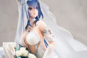 New Jersey - Snow Bride Love - Apex Innovation (20)