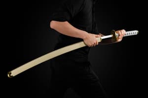 One Piece Proplica: Roronoa Zoro Three Sword Style Set (1:1 Scale, Bandai Spirits) - 8