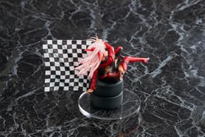 Kuro / Chloe von Einzbern - Priya Racing - Easy Eight - 4
