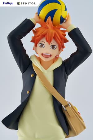 Hinata Shoyo - Tenitol - Furyu - 10