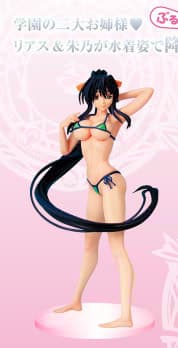 Akeno Himejima - Bikini Ver - 1