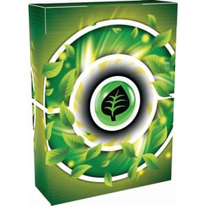Pokémon TCG - Pokémon Deluxe Kampfdeck - Maskagato ex  (1)