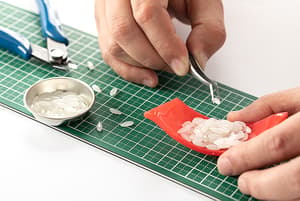 Thunfisch Nigiri Sushi - Model Kit - Syuto Seiko (1)