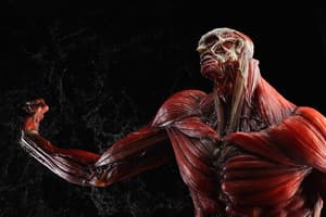Der Kolossale Titan in Polystone - Wonderful Hobby Selection - 9