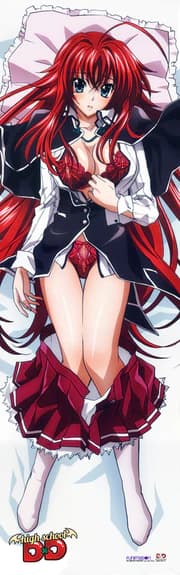 Rias - Dakimakura (1)