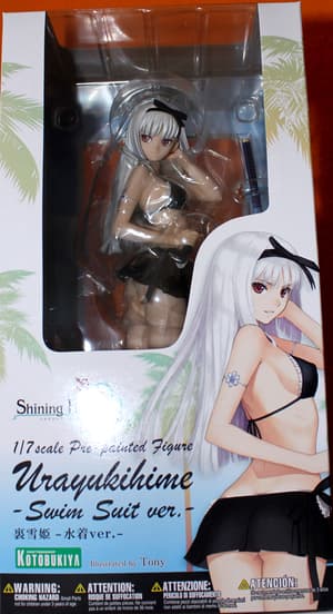Urayukihime Hayane swimsuit ver. - 11