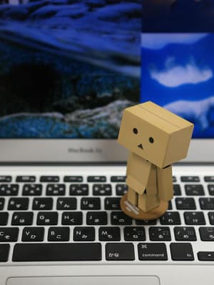 Danboard / Danbo / Kartobot - Revoltech Mini - 4