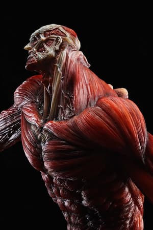Der Kolossale Titan in Polystone - Wonderful Hobby Selection - 5