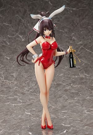 Houki Shinonono- 1/4 B-Style Bunny - Bare Leg - FREEing - 3