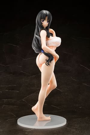 Warrior Priestess Tomoe - Genco - Queen's Blade - 28