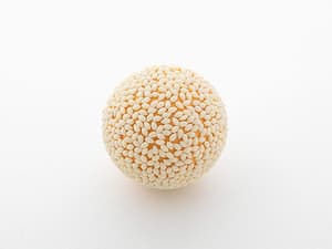 Sesame Ball - 1/1 Model Kit - Syuto Seiko (2)