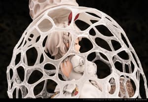 Dictyophora Indusiata (Tropische Schleierdame)- The Mushroom Girls - Reverse Studio (13)