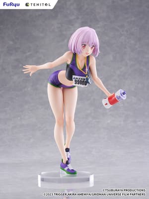 Akane Shinjo - Sports Wear - Tenitol Tall - Furyu - 5
