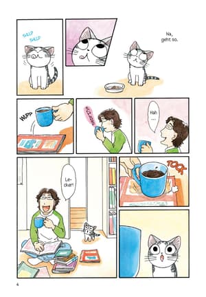 Kleine Katze Chi 2 - 1