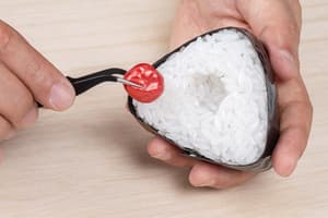 Onigiri Plastic Model - 3