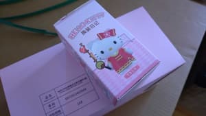 Zufällige Auswahl - Sanrio Characters - Hello Kitty Dress-Up Diary - Mini Figuren - Langbowang (1)