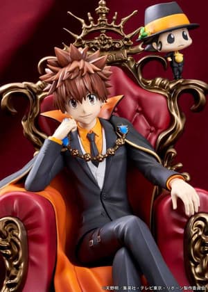 Tsunayoshi Sawada & Reborn - Proof - 10