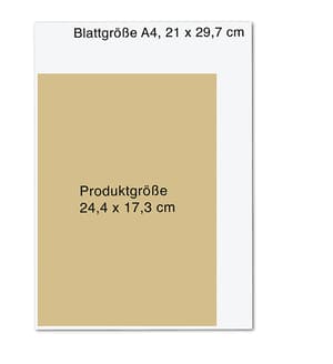 Die Chroniken der Unterwelt Band 3 - 11