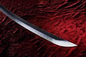 One Piece Proplica: Roronoa Zoro Three Sword Style Set (1:1 Scale, Bandai Spirits) - 3