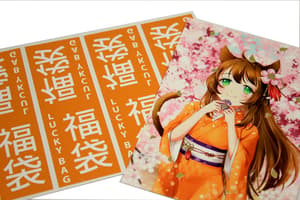 Figuya Lucky Bag - Fukubukuro - Taille L - 1