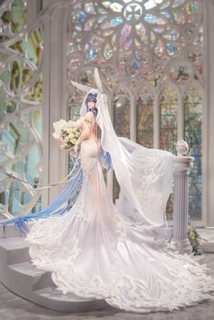 New Jersey - Snow Bride Love - Apex Innovation (7)