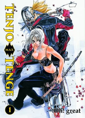 Tenjo Tenge - Panini - 2in1 Edition Band 1 - 1