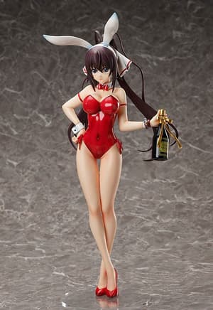 Houki Shinonono- 1/4 B-Style Bunny - Bare Leg - FREEing - 4