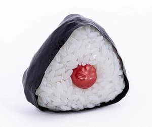 Onigiri Plastic Model - 2