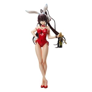 Houki Shinonono- 1/4 B-Style Bunny - Bare Leg - FREEing - 7